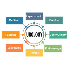 Diagram concept with Urology text and keywords. EPS 10 isolated on white background