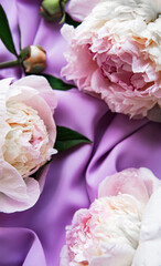Peony flowers on a violet silk background