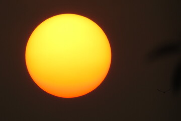 Beautiful  big golden sun in the evening with the dark background