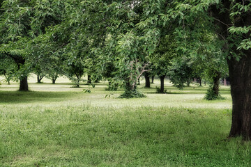 自然溢れる公園で、散策を楽しみ豊かな時間を過ごす！