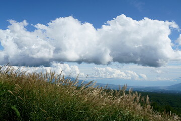 Naklejka premium 雲とススキのある高原の風景