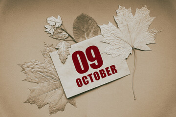 october 09. 09th day of month, calendar date.Envelope with the date and month, surrounded by autumn...