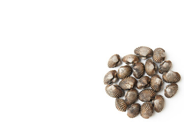 Cockles cockles seafood on white background.