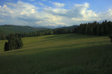 Summer, green meadow and rocky Tatra mountains