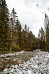 natural landscape with green mountain peaks in summer