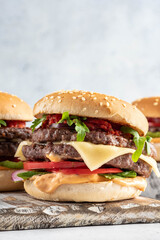 fresh tasty burger on a white background