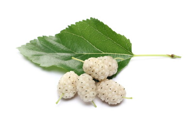 White mulberry fruits with leaf isolated on white background