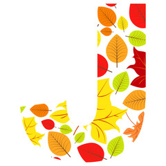 Vector letter J from autumn leaves. Illustration on the subject of the alphabet.