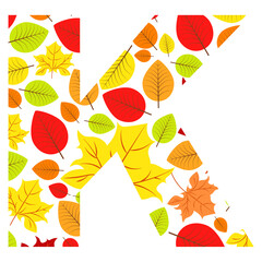 Vector letter K from autumn leaves. Illustration on the subject of the alphabet.