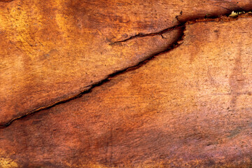 crack in brown wood texture close up