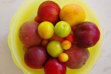 Seasonal fruit with peaches, apricots, plums