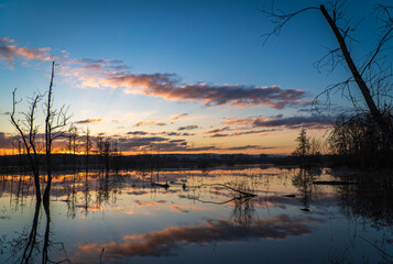 Plakat Morgenstimmung bei Sonnenaufgang an einem See im Naturschutzgebiet