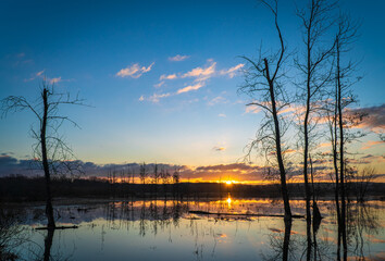 Fototapeta na wymiar Morgenstimmung bei Sonnenaufgang an einem See im Naturschutzgebiet