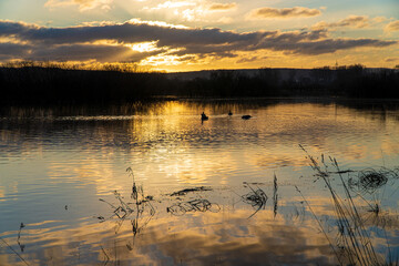 Sonnenaufgang an einem See im Naturschutzgebiet