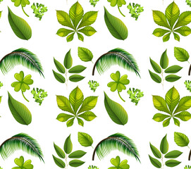 Seamless pattern with many different plants on white background