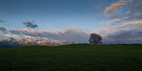 Die Allgäuer Alpen an einem Frühlingsmorgen