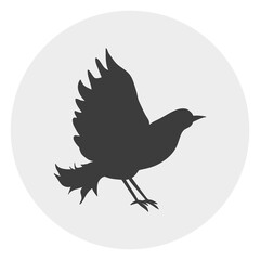 Bird circle web icon on isolation background