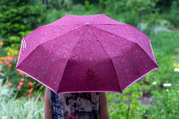 a young woman with a purple umbrella in the park on a rainy summer day view from the back