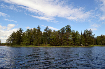 Beautiful lake in the forest, natural nature background