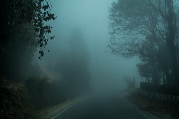 Fototapeta na wymiar Foggy afternoon, Darjeeling, West Bengal, India