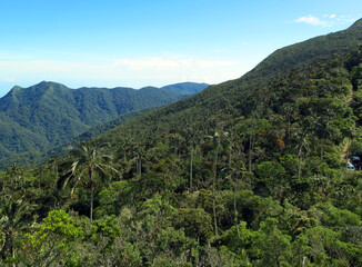 Fototapeta na wymiar San Lorenzo ridge; El Dorado Bird reserve, Sierra Nevada, Santa Marta Mountains, Colombia