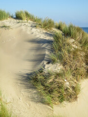 Duinen op Vlieland, Dunes at Vlieland