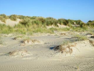 Duinen op Vlieland, Dunes at Vlieland