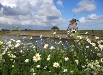 Fotobehang Landschap Texel  Landscape Texel, Netherlands © AGAMI