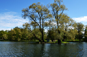 Beautiful pond in the city park