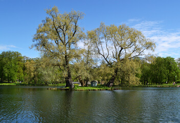 Fototapeta na wymiar Beautiful pond in the city park