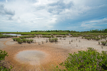 Dry conditions at Merritt Island National Wildlife Refuge.