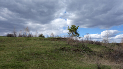 Lonely tree on the hill. Spring landscape. Gloomy clouds. 