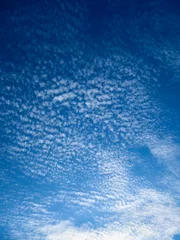 Fotobehang Wolkenlucht, Cloudy sky © AGAMI