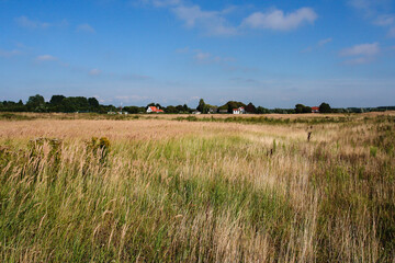 Fototapeta na wymiar Landscape at Lentevreugd