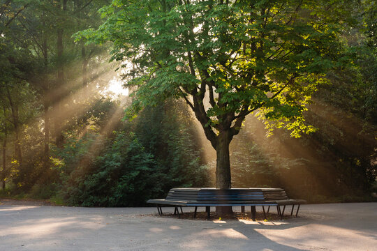 Stadspark in Amsterdam, Citypark in Amsterdam