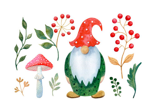 Cute watercolor gnome with a gray beard. Fairy forest elf in red hat and green clothes. Hand-drawn set with leaves, berries and mushrooms isolated on a white background. Childish illustration clipart