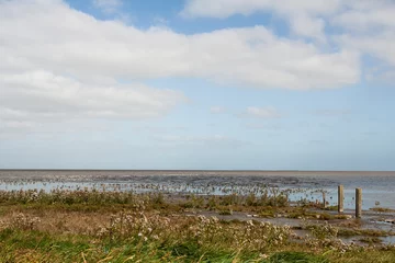 Fotobehang Uitzicht op Waddenzee, View at Wadden Sea © AGAMI