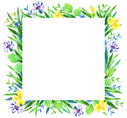 Fototapeta na wymiar A set of natural elements - leaves, flowers, herbs, hand-painted in watercolor. The greenery of the garden and forest, painted in watercolor, is isolated on a white background