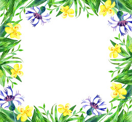 A set of natural elements - leaves, flowers, herbs, hand-painted in watercolor. The greenery of the garden and forest, painted in watercolor, is isolated on a white background