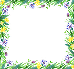 A set of natural elements - leaves, flowers, herbs, hand-painted in watercolor. The greenery of the garden and forest, painted in watercolor, is isolated on a white background