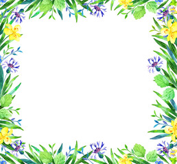 Fototapeta na wymiar A set of natural elements - leaves, flowers, herbs, hand-painted in watercolor. The greenery of the garden and forest, painted in watercolor, is isolated on a white background