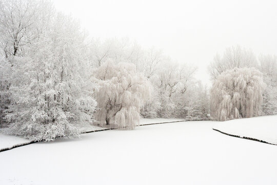 Frozen ditch at Katwijk