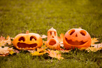 Carved halloween pumpkins on outdoor green grass