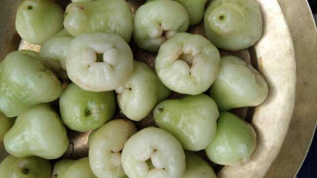 White Wax Apple