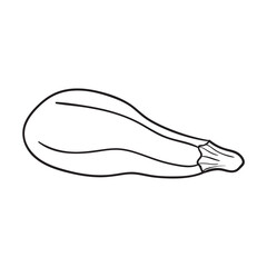 Zucchini vector icon