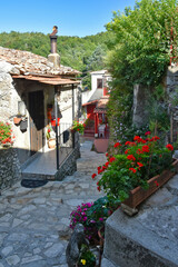 A small street between the old houses of Sant'Angelo d'Alife, a mountain village in the province of...