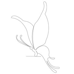 butterfly drawing by one continuous line sketch, isolated, vector