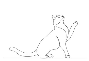 cat drawing by one continuous line sketch, isolated
