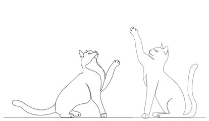 cats drawing by one continuous line sketch, isolated, vector © zolotons