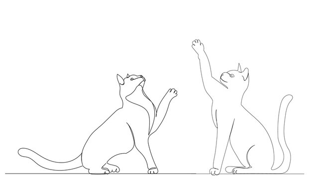 cats drawing by one continuous line sketch, isolated, vector